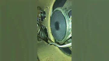 More BOSE inverted speaker